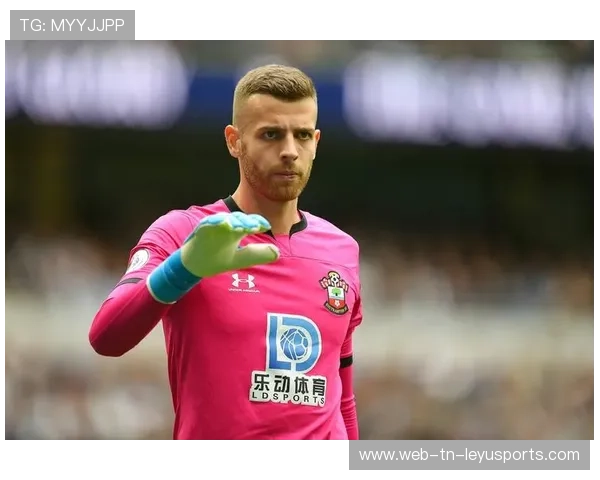 诺维奇攻防两端表现平衡，迎来曙光，诺维奇厉害吗