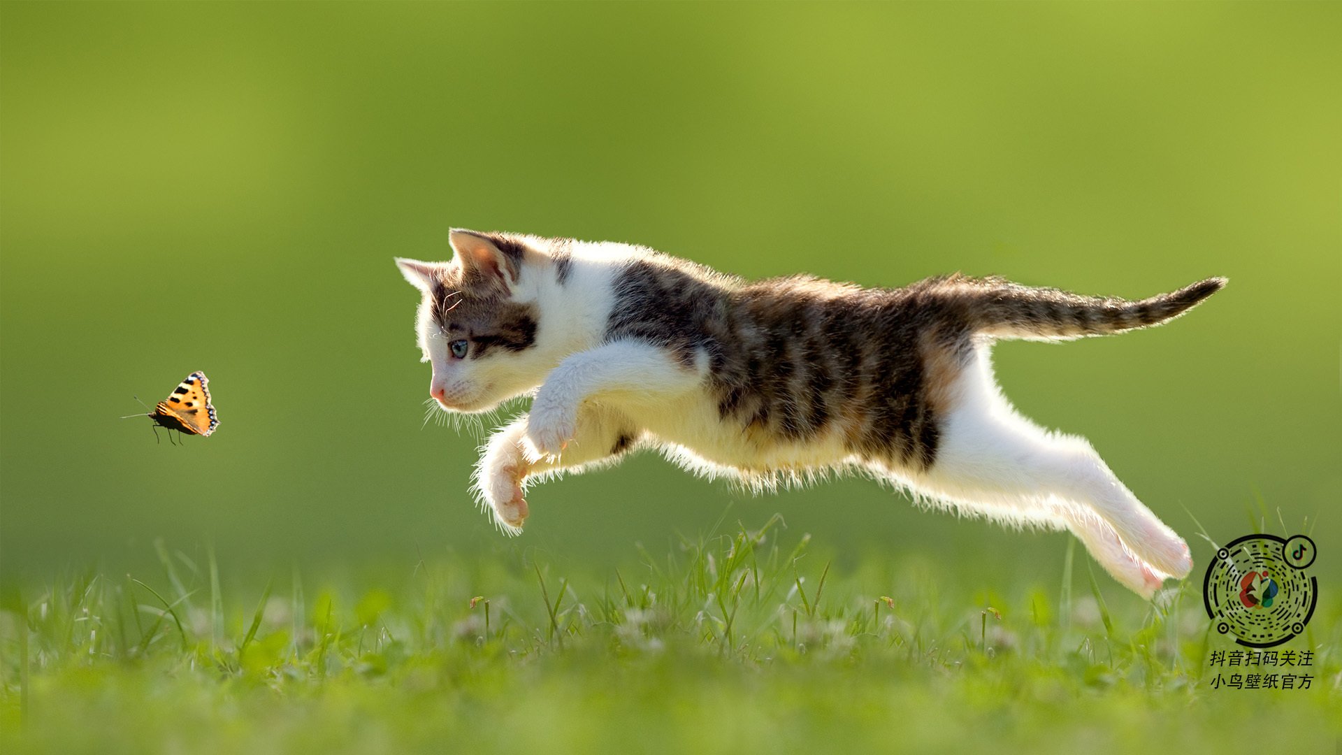 乐鱼体育官网入口-青少年体育运动普及策略，青少年体育活动现状调查