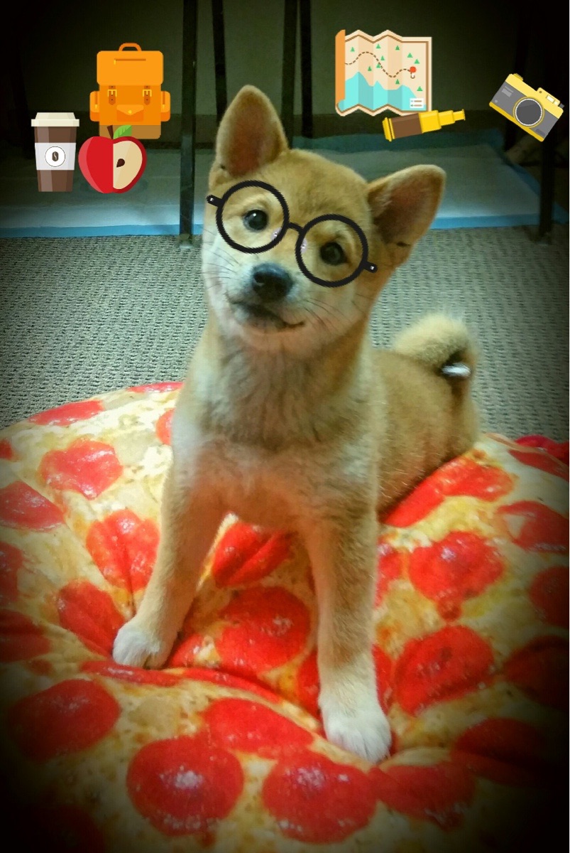 乐鱼体育官网入口-“武汉马拉松：选手们在赛道上创造历史”