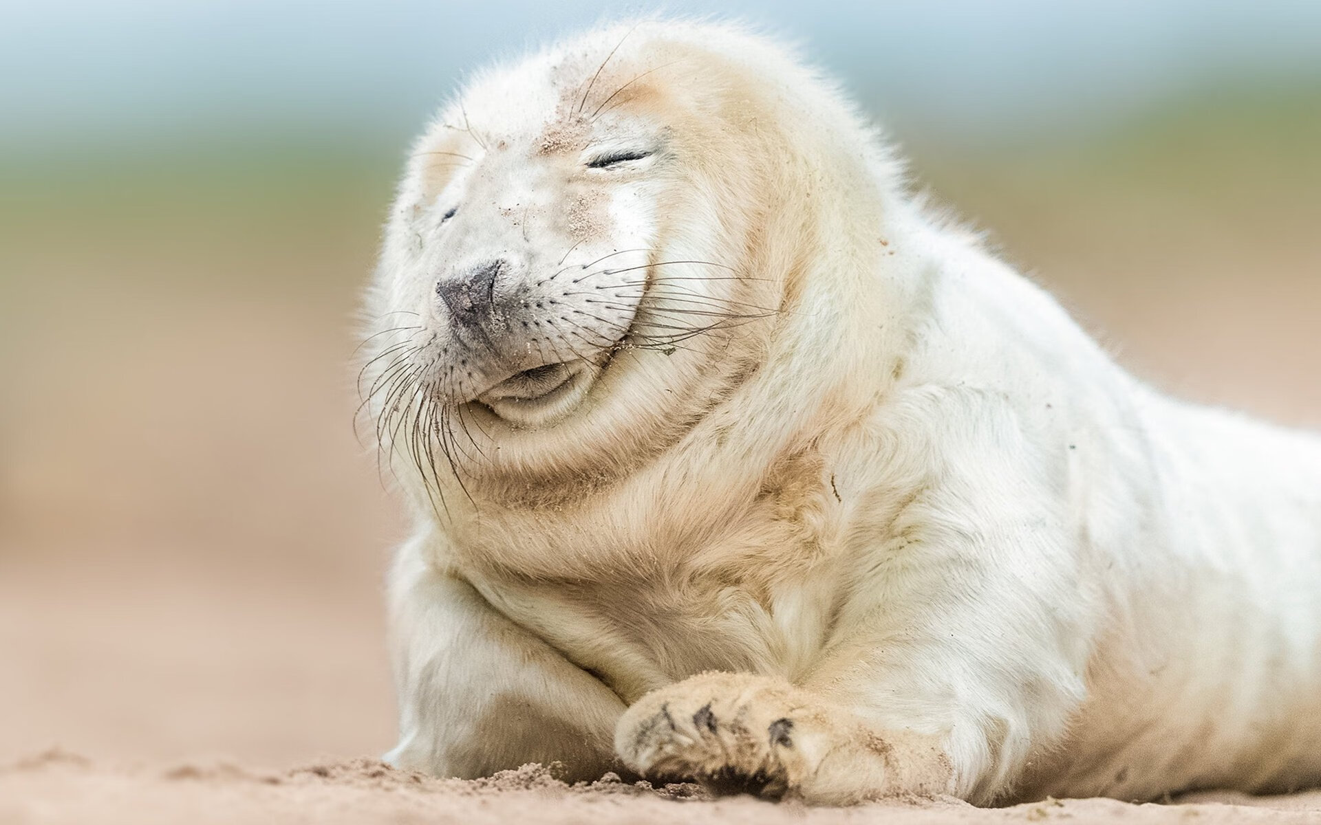 乐鱼体育登录入口-世界杯中国队惨败 球迷支持球队重建，世界杯中国队惨败 球迷支持球队重建吗