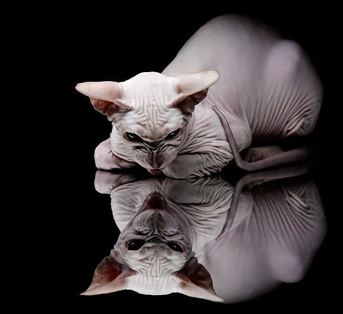 乐鱼体育-东亚杯中国足球冲击 球员状态成为焦点，东亚杯中国队