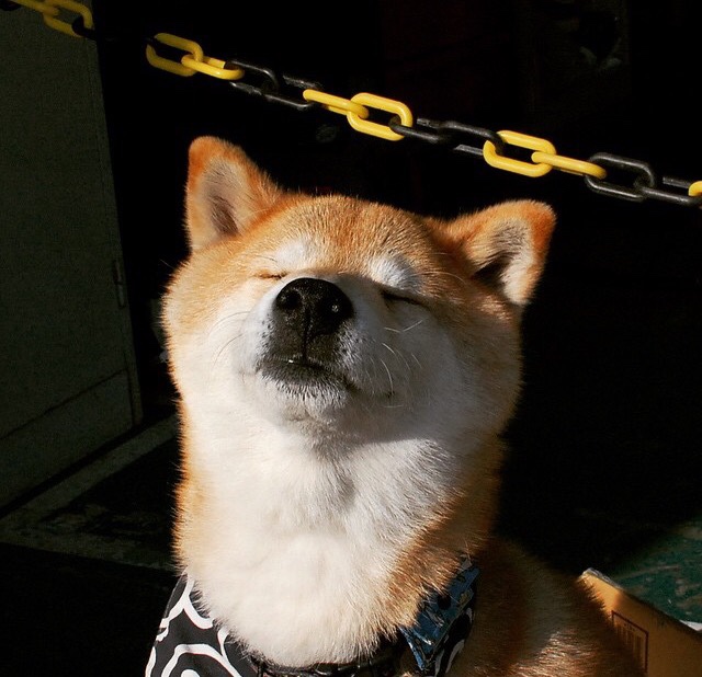 中国三人男篮小组出线 展现拼搏精神,中国男子三人篮球国家队