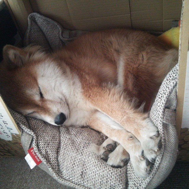 体育纪录片聚焦运动员备战背后故事，运动员 纪录片