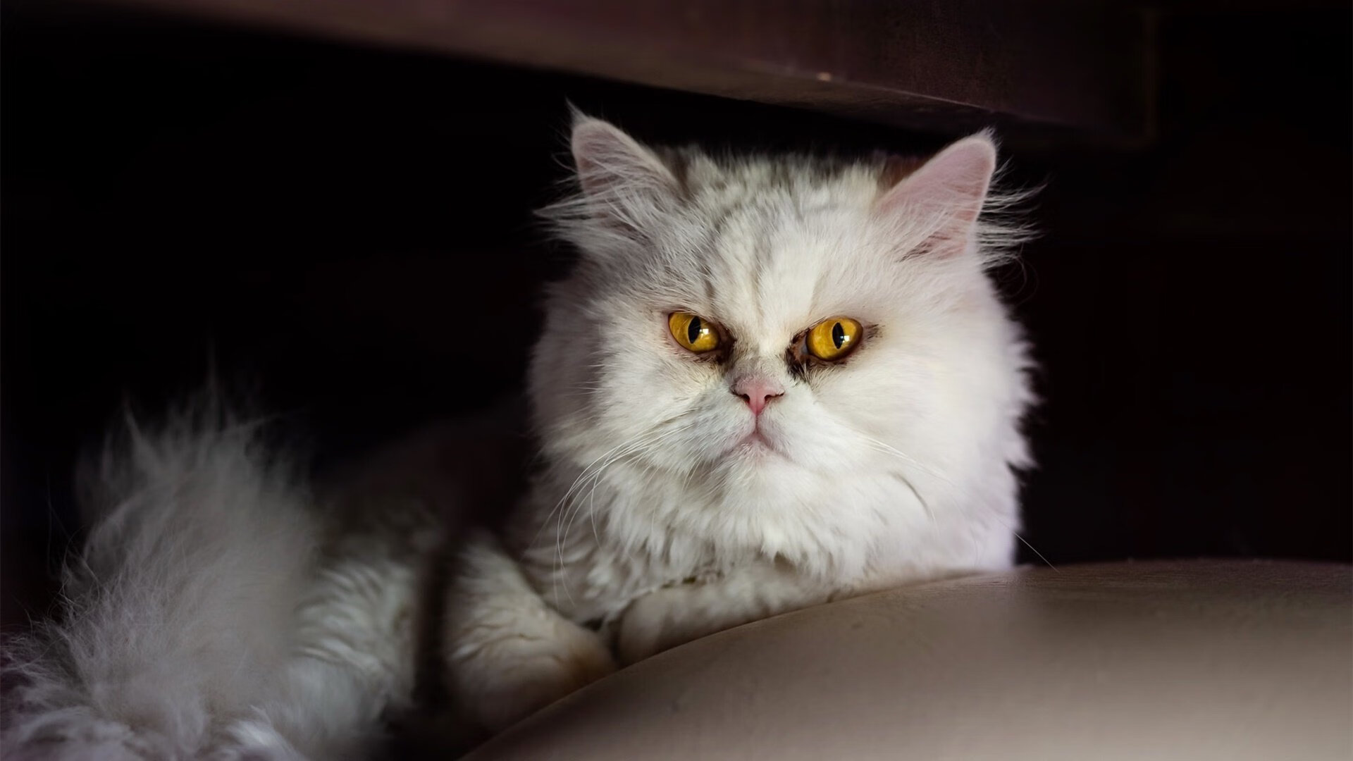 乐鱼体育官网登录-外教更替频繁对球队战术体系有何影响，外教更替频繁对球队战术体系有何影响