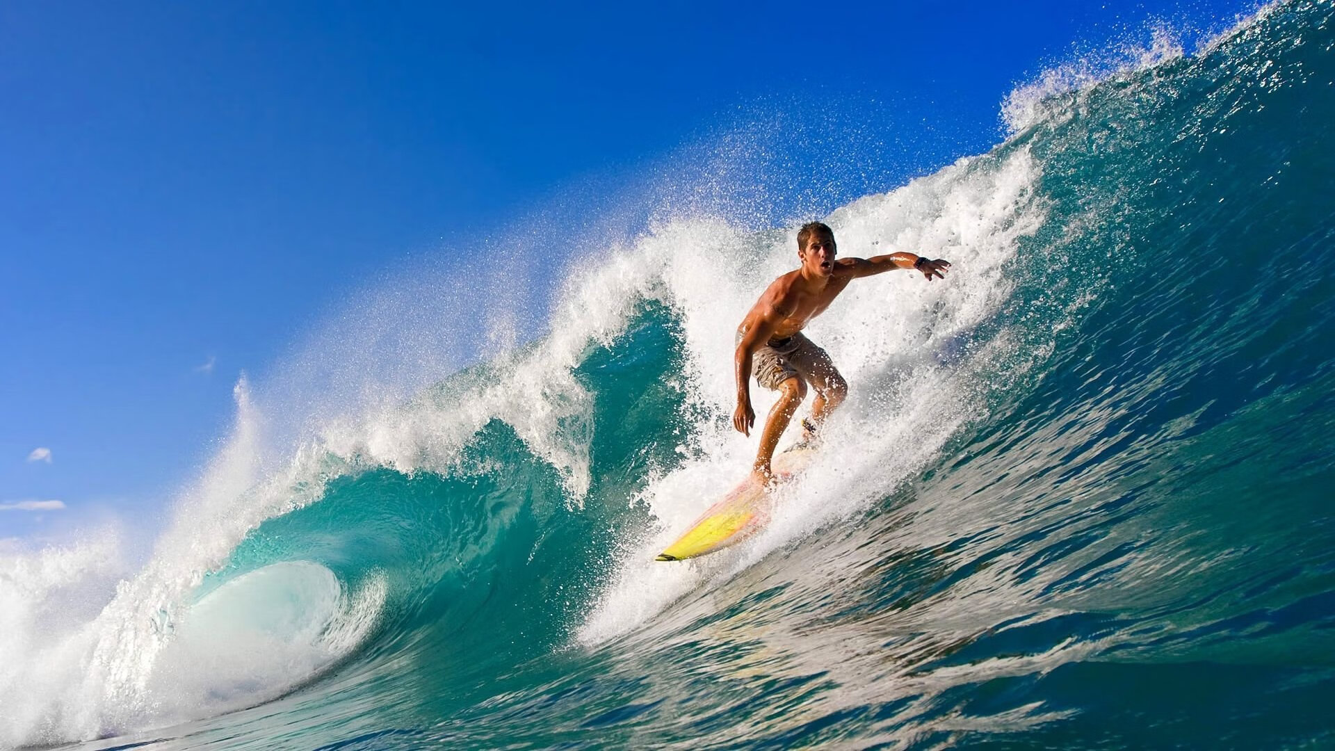 乐鱼体育平台官网-女子200蝶节奏曲线：中国更富弹性，女子两百米蝶泳决赛时间