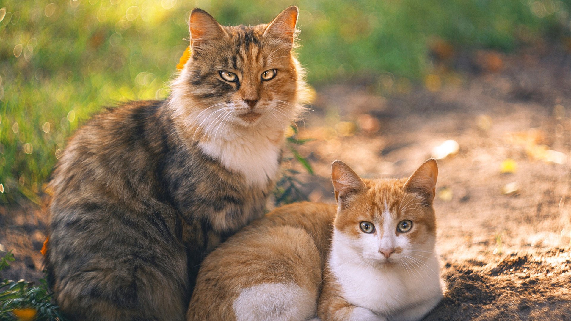 姆巴佩面对高压防守受限发挥受阻,姆巴佩爆发力