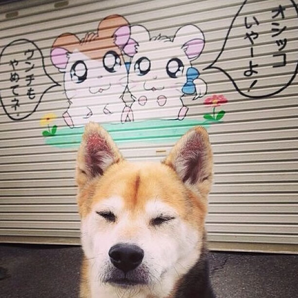 乐鱼体育在线入口-本菲卡门将发挥稳健，扑救关键射门，本菲卡著名球员