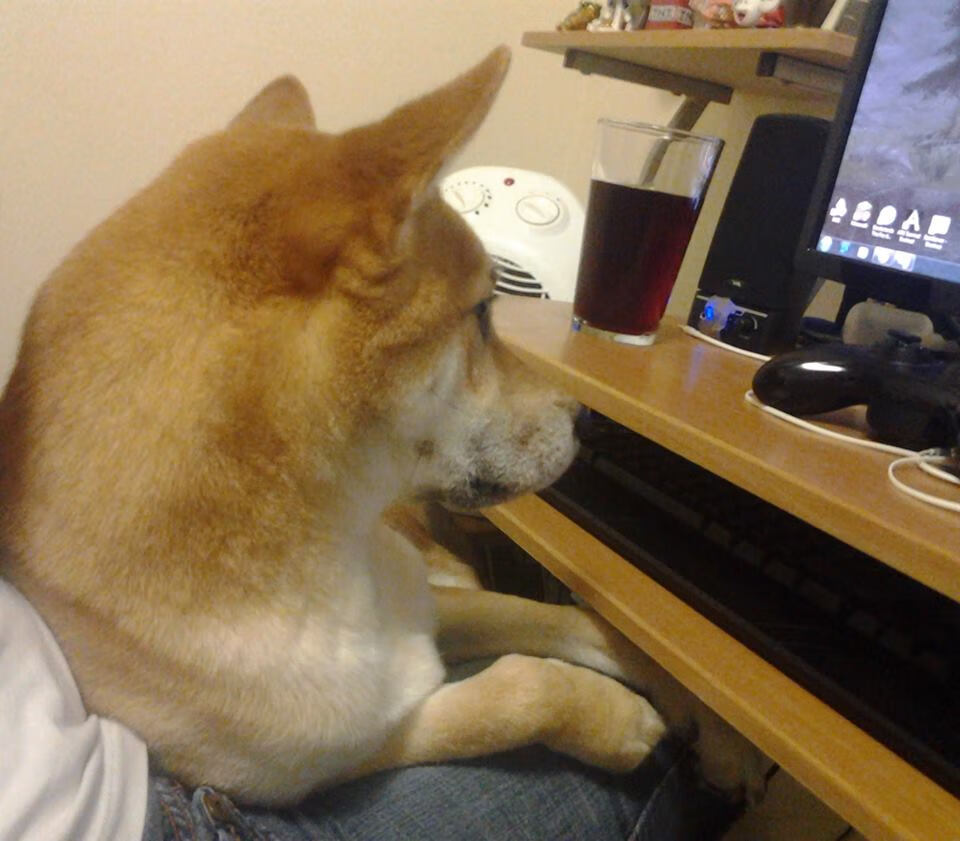 转身效率提升,中立B技术改革见效,中立ah