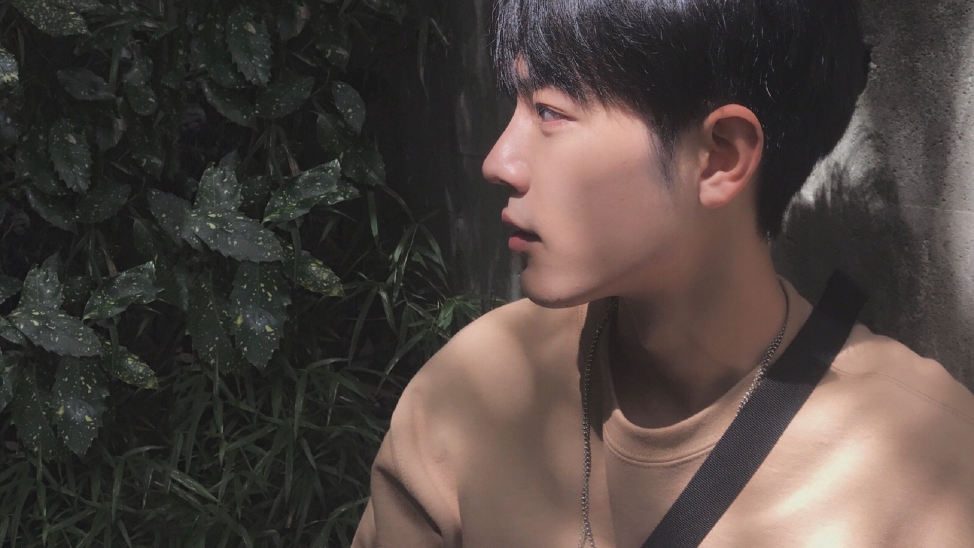 乐鱼官网-仰泳冲刺比利时女将稳中有升，仰泳国际比赛视频