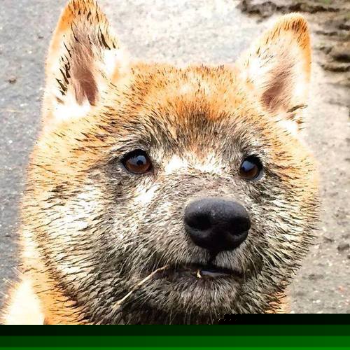 乐鱼体育平台官网-体育法律知识普及月活动走进基层社区，体育法宣传标语